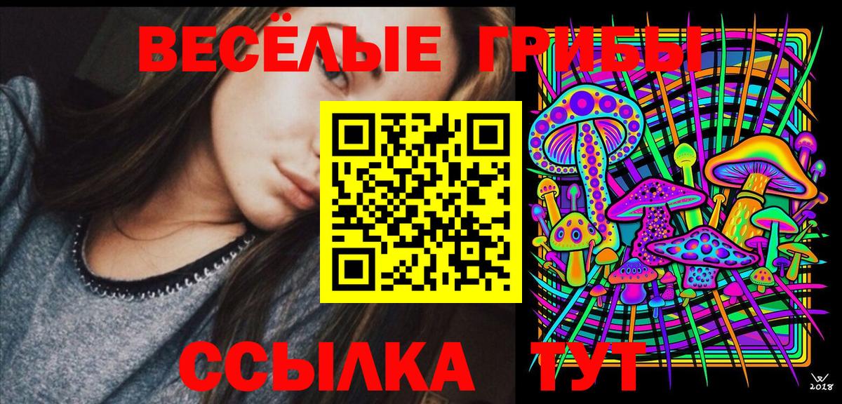 Ноябрьск  Псилоцибиновые грибы Magic Shrooms  Вход с VPN 